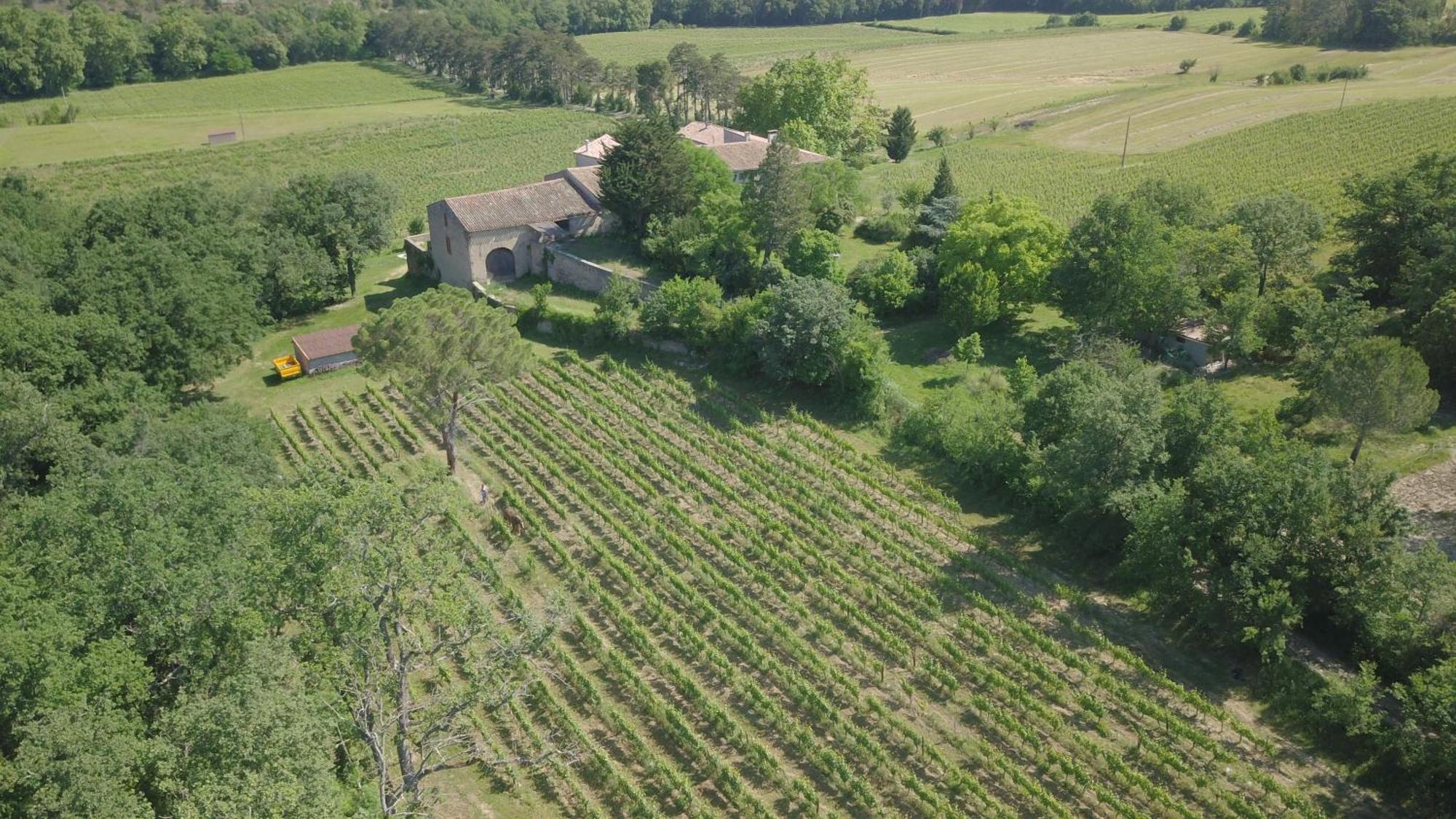 Villa Grès Vaillant à Saint-Polycarpe Extérieur photo